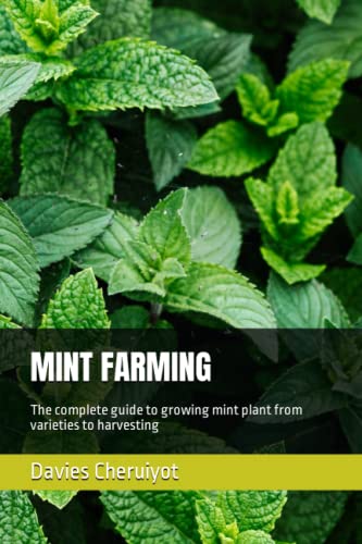 MINT FARMING: The complete guide to growing mint plant from varieties to harvesting (Herbs farming, Band 1) von Independently published