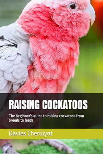 RAISING COCKATOOS: The beginner's guide to raising cockatoos from breeds to feeds RAISING COCKATOOS: The beginner's guide to raising cockatoos from breeds to feeds von Independently published
