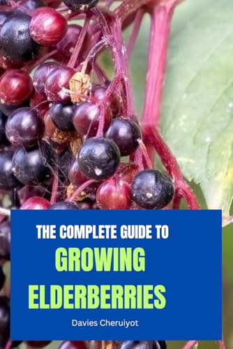 THE COMPLETE GUIDE TO GROWING ELDERBERRIES (Fruits farming) THE COMPLETE GUIDE TO GROWING ELDERBERRIES (Fruits farming) von Independently published