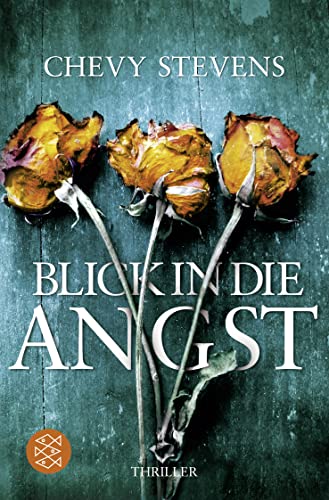 Blick in die Angst: Thriller | »Stevens setzt immer noch eins drauf.« Krimi-Couch