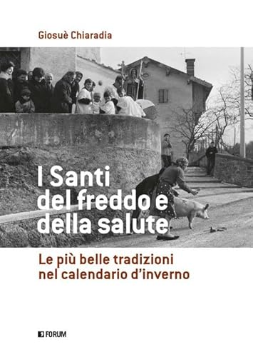 I santi del freddo e della salute (Varia) von Forum Edizioni