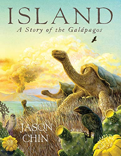 Island: A Story of the Galápagos von Square Fish