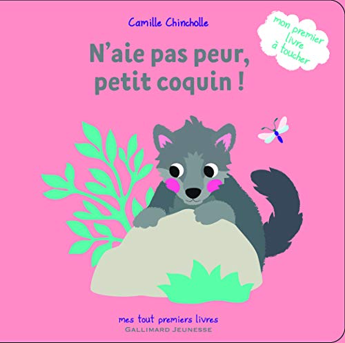 N'aie pas peur, petit coquin ! von Gallimard Jeunesse
