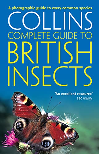 British Insects: A photographic guide to every common species (Collins Complete Guide) von Collins