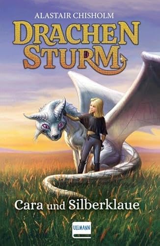 Drachensturm - Cara und Silberklaue: Fantasy für Kinder ab 8-11 Jahren, Band 2, durchgehend illustriert