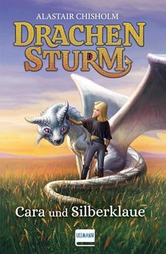 Drachensturm - Cara und Silberklaue: Fantasy für Kinder ab 8-11 Jahren, Band 2, durchgehend illustriert