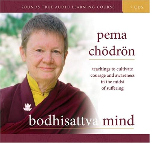 Bodhisattva Mind: Teachings to Cultivate Courage and Awareness in the Midst of Suffering