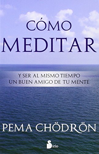 Como Meditar: Y Ser al Mismo Tiempo un Buen Amigo de Tu Mente = How to Meditate