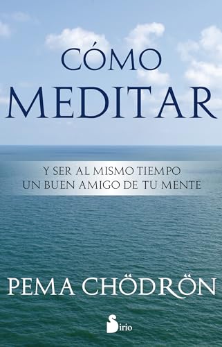 Como Meditar: Y Ser al Mismo Tiempo un Buen Amigo de Tu Mente = How to Meditate