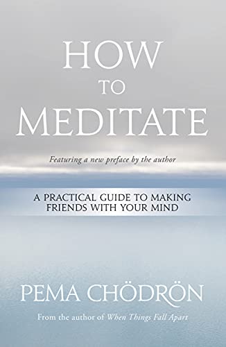 How to Meditate: A Practical Guide to Making Friends With Your Mind von Sounds True