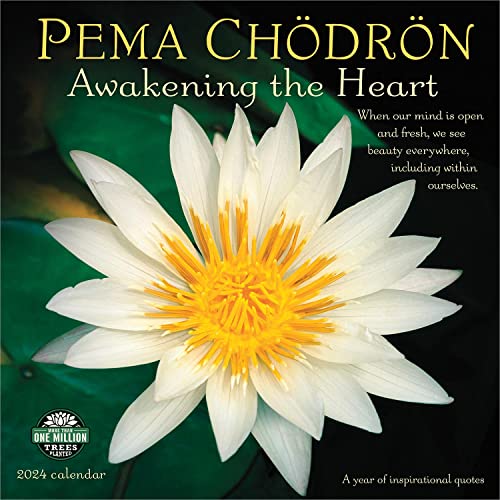 Pema Chodron 2024 Calendar: Awakening the Heart - a Year of Inspirational Quotes