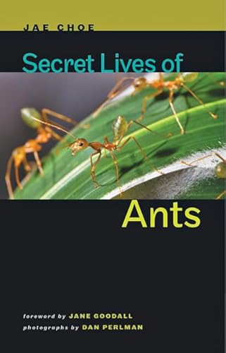 Secret Lives of Ants: Forew. by Jane Goodell