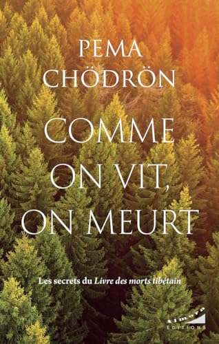 Comme on vit, on meurt - Les secrets du Livre des morts tibétain Comme on vit, on meurt - Les secrets du Livre des morts tibétain von ALMORA