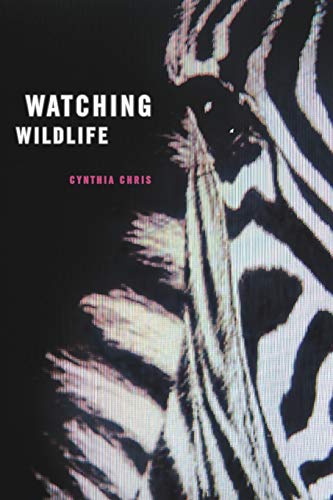Watching Wildlife