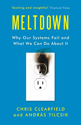 Meltdown: Why Our Systems Fail and What We Can Do About It von Atlantic Books