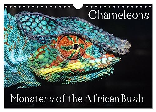 Chameleons Monsters of the African Bush (Wandkalender 2024 DIN A4 quer), CALVENDO Monatskalender