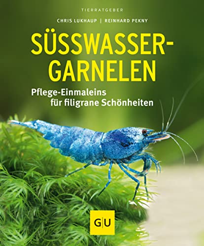 Süßwasser-Garnelen gelb 12 x 3,5 cm: Pflege-Einmaleins für filigrane Schönheiten (GU Aquarium) von Gräfe und Unzer