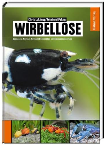 Wirbellose - Garnelen, Krebse, Krabben & Schnecken im Süßwasseraquarium von Daehne Verlag