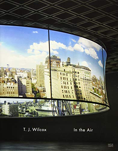 T. J. Wilcox: In the Air (Fotografie)