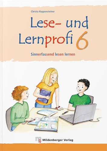 Lese- und Lernprofi 6 – Arbeitsheft – silbierte Ausgabe: Sinnerfassend lesen lernen in Klasse 6 (Lese- und Lernprofi: blau/rot silbiert)