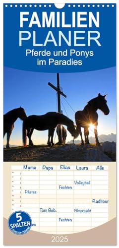 Familienplaner 2025 - Pferde und Ponys im Paradies mit 5 Spalten (Wandkalender, 21 cm x 45 cm), CALVENDO