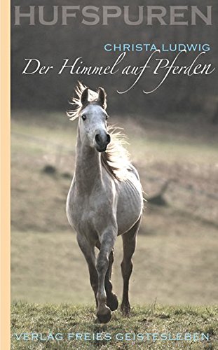 Der Himmel auf Pferden von Freies Geistesleben GmbH
