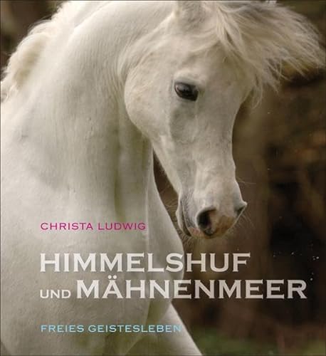 Himmelshuf und Mähnenmeer: Drei Pferde-Fotogeschichten. von Freies Geistesleben GmbH