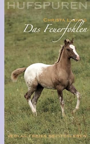 Hufspuren. Das Feuerfohlen Hufspuren. Das Feuerfohlen