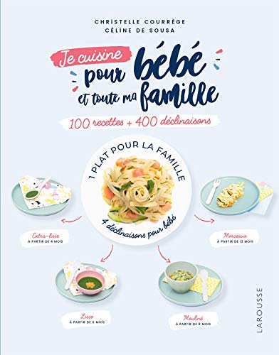 100 recettes pour bébé et toute la famille: 100 recettes + 400 déclinaisons