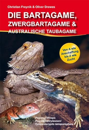 Die Bartagame, Zwergbartagame und Australische Taubagame: Pogona henrylawsoni