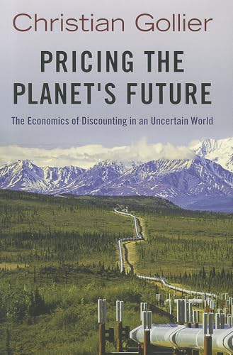 Pricing the Planet's Future: The Economics of Discounting in an Uncertain World