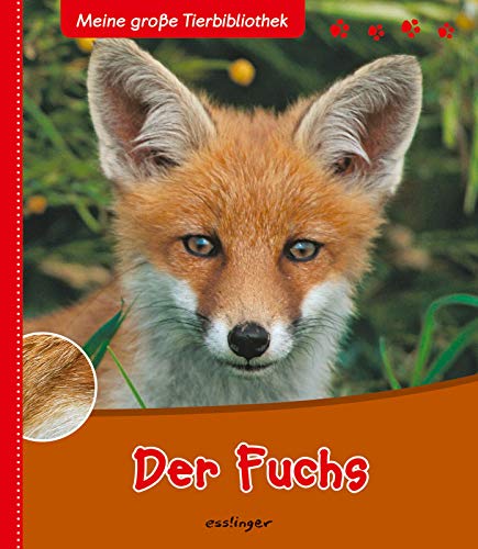 Meine große Tierbibliothek: Der Fuchs