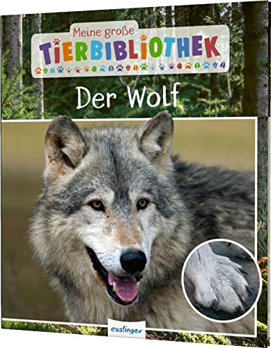 Meine große Tierbibliothek: Der Wolf: Sachbuch für Vorschule & Grundschule