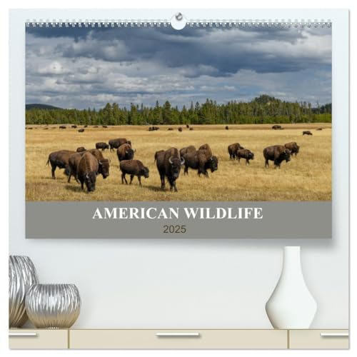 American Wildlife (hochwertiger Premium Wandkalender 2025 DIN A2 quer), Kunstdruck in Hochglanz