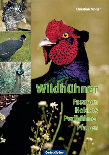 Wildhühner - Fasanen, Hokkos, Perlhühner, Pfauen Wildhühner - Fasanen, Hokkos, Perlhühner, Pfauen