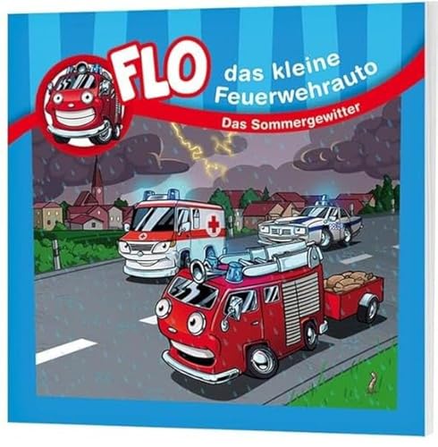 Das Sommergewitter - Minibuch (Flo, das kleine Feuerwehrauto, 10, Band 10)