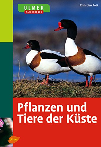 Ulmer Naturführer Pflanzen und Tiere der Küste: Sonderausgabe