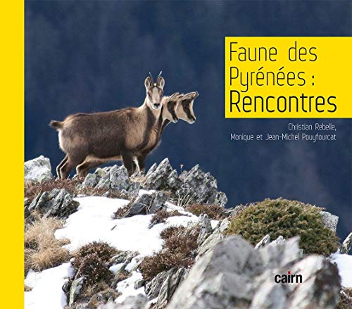 Faune des Pyrénées : Rencontres von Cairn