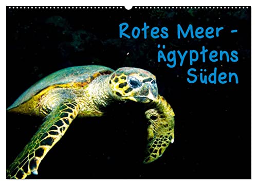 Rotes Meer - Ägyptens Süden (Wandkalender 2024 DIN A2 quer), CALVENDO Monatskalender