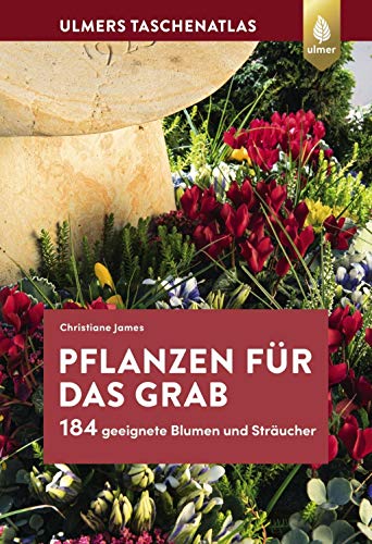 Pflanzen für das Grab: 184 geeignete Blumen und Sträucher