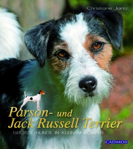 Parson- und Jack Russell Terrier: Große Hunde im kleinen Körper von Cadmos Verlag GmbH