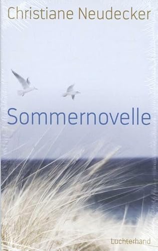 Sommernovelle