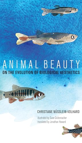 Animal Beauty: On the Evolution of Biological Aesthetics (Mit Press) von The MIT Press