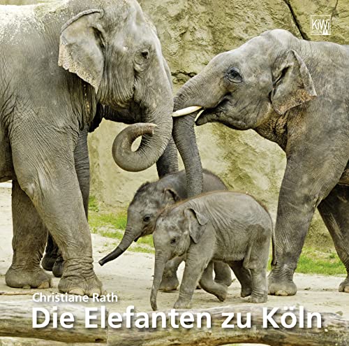 Elefanten zu Köln von KiWi-Köln