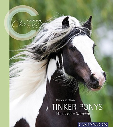 Tinker Ponys: Irlands coole Schecken (Cadmos Classic Collection) von Cadmos Verlag