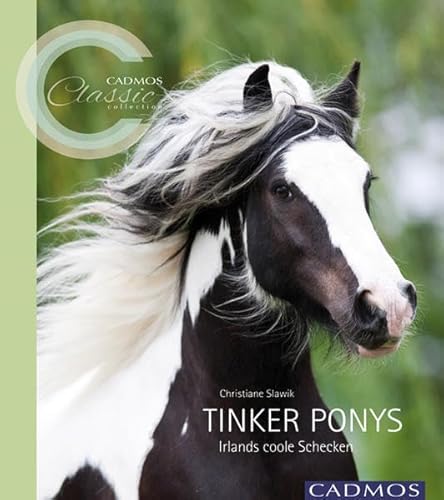 Tinker Ponys: Irlands coole Schecken (Cadmos Classic Collection) von Cadmos Verlag GmbH
