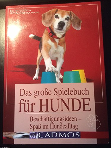 Das große Spielebuch für Hunde: Beschäftigungsideen- Spaß im Hundealltag