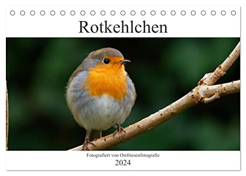 Rotkehlchen - Fotografiert von Ostfriesenfotografie (Tischkalender 2024 DIN A5 quer), CALVENDO Monatskalender von CALVENDO