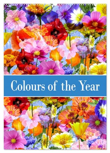 Colours of the Year (Wandkalender 2025 DIN A2 hoch), CALVENDO Monatskalender