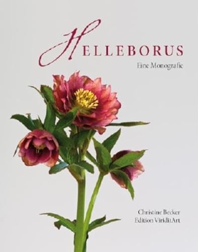 Helleborus: Eine Monografie